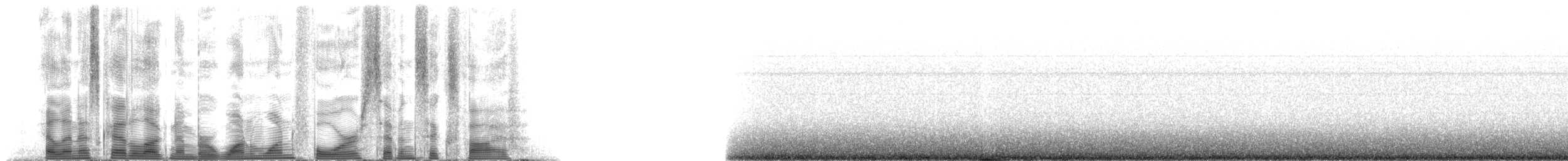 Fin Whale - ML114765