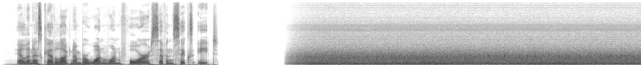 Short-finned Pilot Whale - ML114768