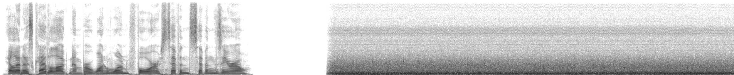 Short-finned Pilot Whale - ML114770