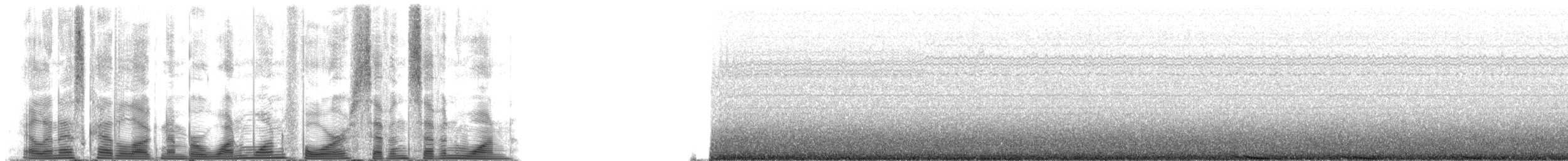 Fin Whale - ML114771