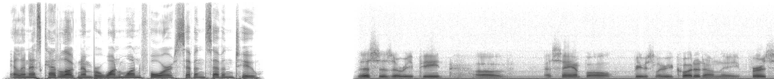 Short-finned Pilot Whale - ML114772