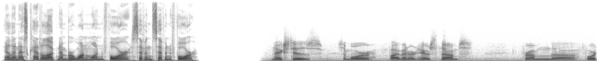 Short-finned Pilot Whale - ML114774