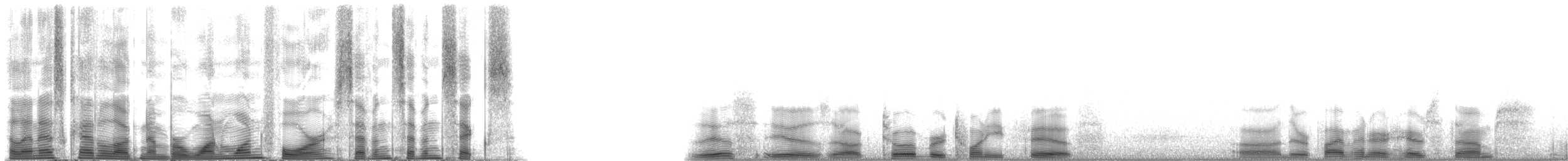 Short-finned Pilot Whale - ML114776