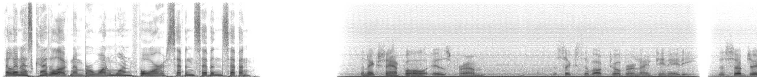 Short-finned Pilot Whale - ML114777