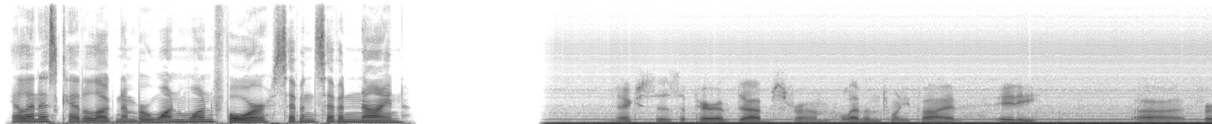 Fin Whale - ML114779