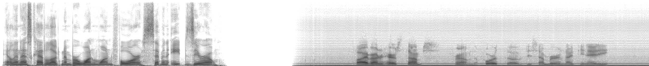 Short-finned Pilot Whale - ML114780