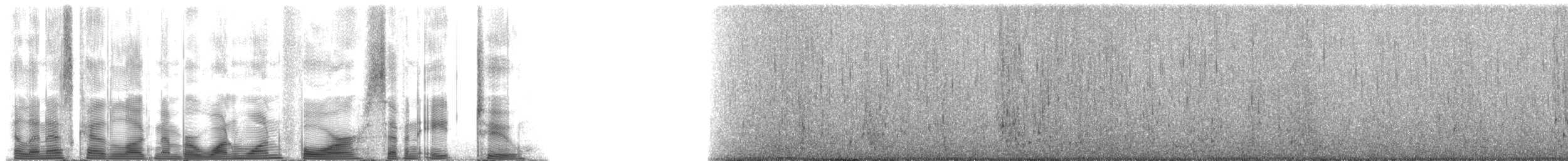 Fin Whale - ML114782