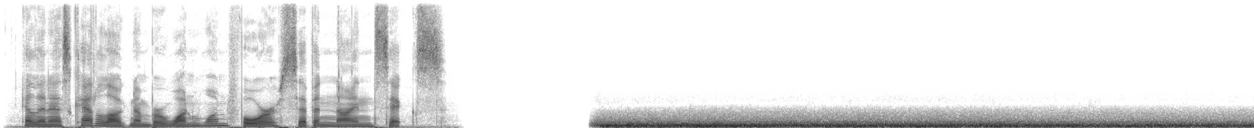 Blue Whale - ML114796