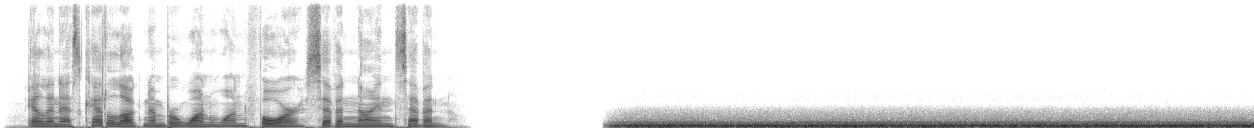 Blue Whale - ML114797