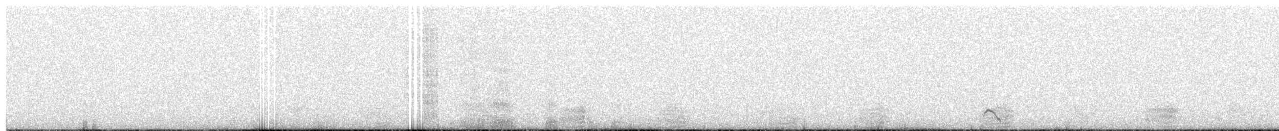 Magellanic Plover - ML114877361