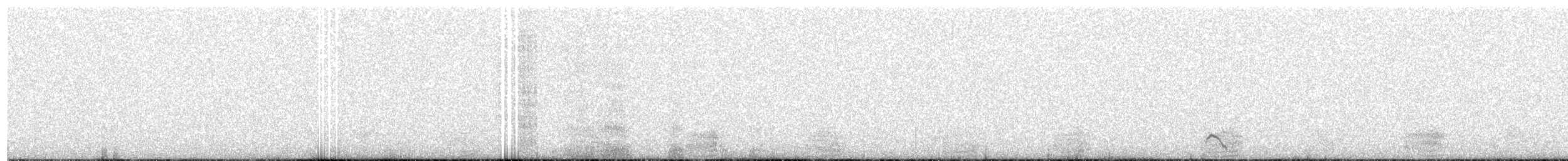 Magellanic Plover - ML114877361