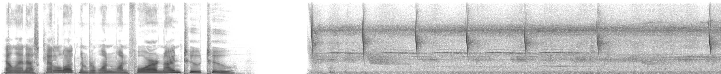 ハイバラケンバネハチドリ（obscurus） - ML114922