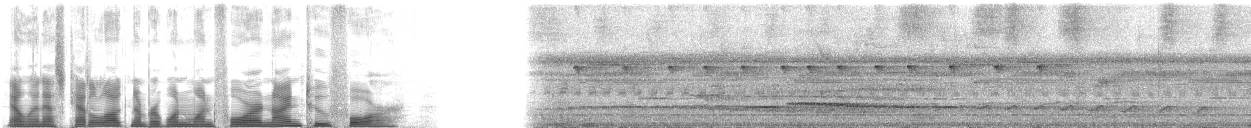 Grimpar géant (groupe orenocensis) - ML114924