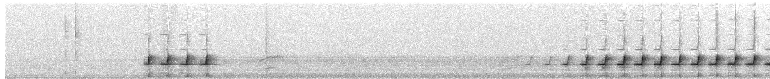 Spotted Quail-thrush - ML114925211