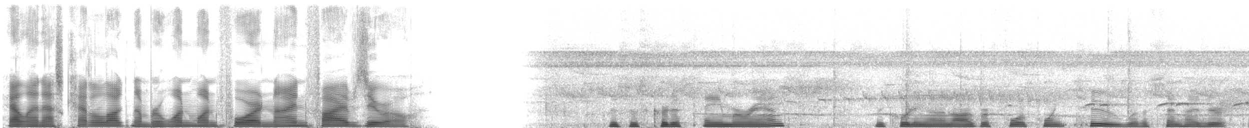 Красношейный арасари (bitorquatus/reichenowi) - ML114950