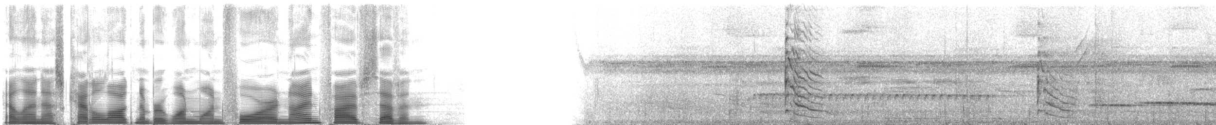 Rothalsspecht - ML114957