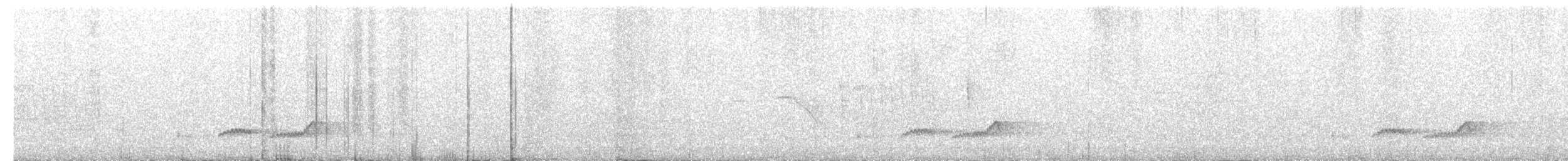 Dusky Nightjar - ML114966491