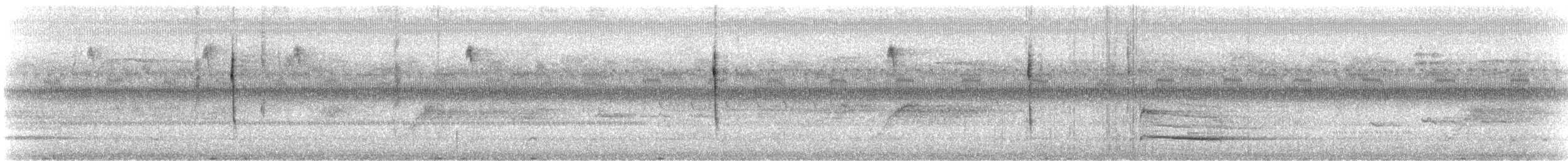 ヤシアメリカムシクイ（palmarum） - ML114967851