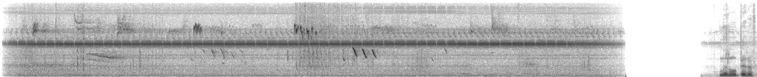 Ampelis Americano - ML114967871