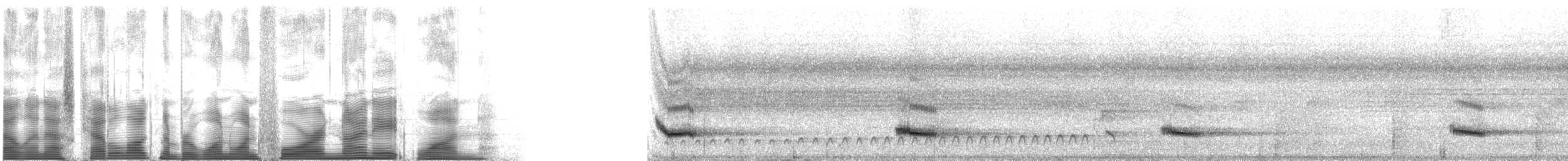 Channel-billed Toucan (Ariel) - ML114981