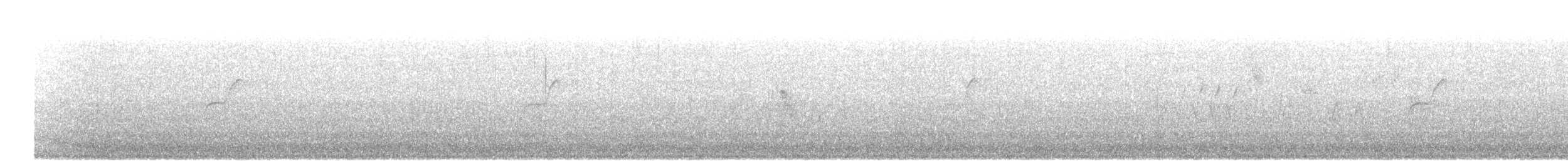 Batı Amerika Sinekkapanı (occidentalis/hellmayri) - ML114992061
