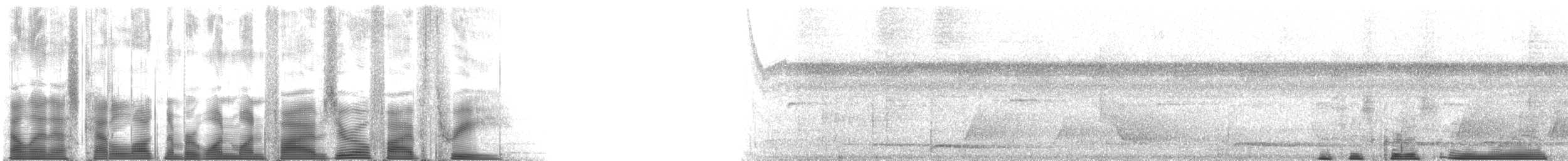 Аракарі червоношиїй (підвид bitorquatus/reichenowi) - ML115053