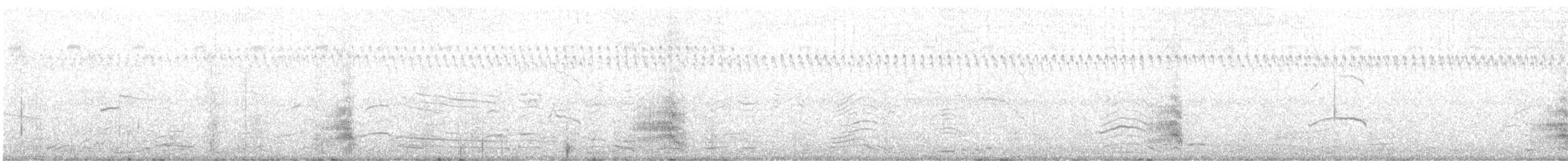 裏海燕鷗 - ML115143471