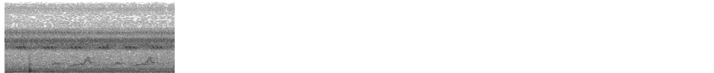 Eastern Whip-poor-will - ML115170941