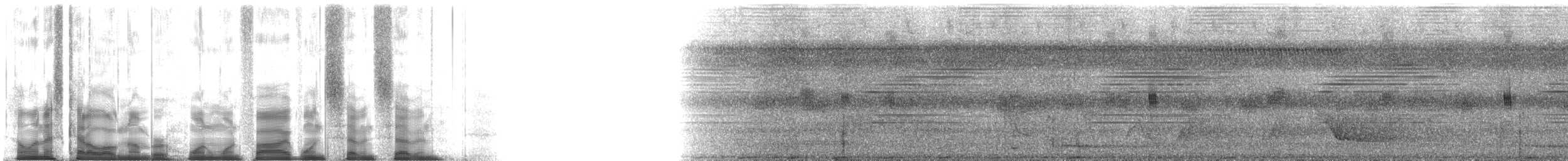 Kara Kanatlı Borazankuşu (dextralis) - ML115177