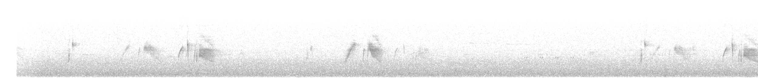 Ивовый мухолов - ML115192011