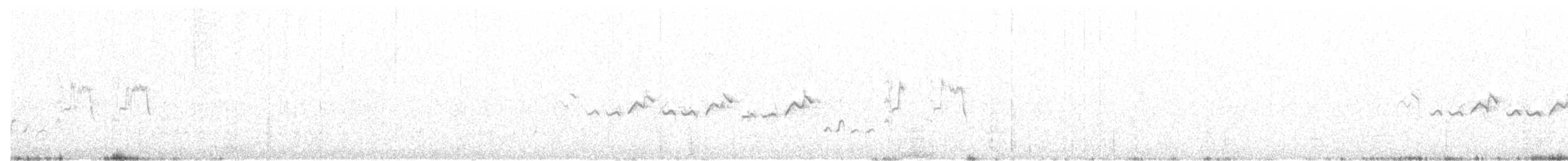 Séricorne timide - ML115205001