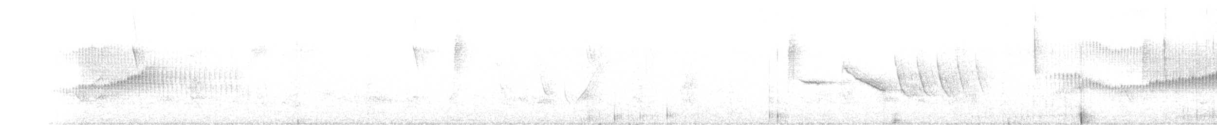 Kurzschnabelcanastero - ML115228551