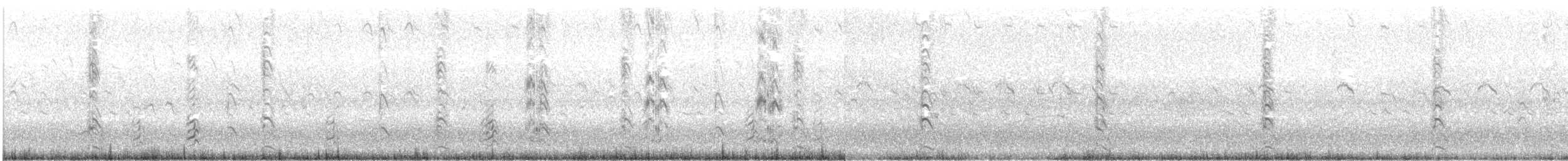 Black Skimmer - ML115244691