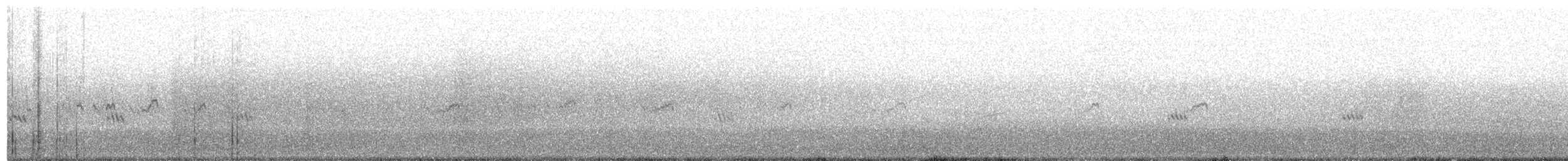Bécasseau de Baird - ML115260821