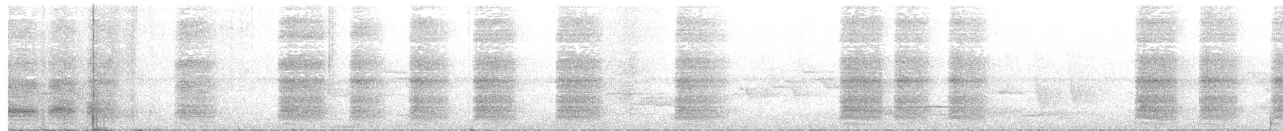 Дивоптах-білозір золотоспинний - ML115275271