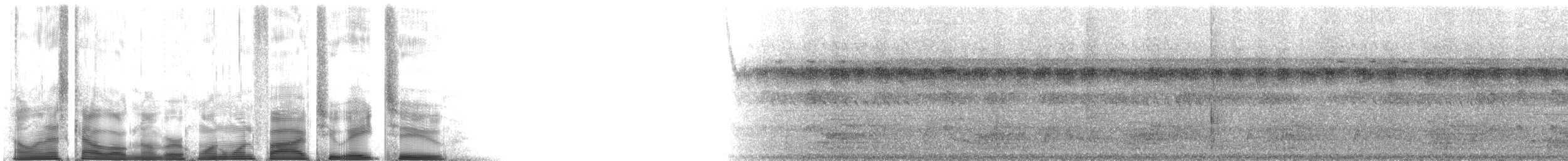 Great Tinamou - ML115282