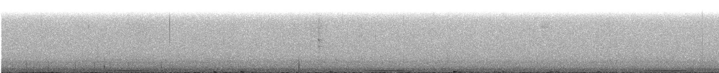 Weißgesichttaube - ML115283241