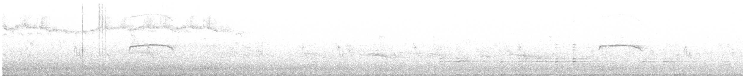 パタゴニアヒタキタイランチョウ - ML115299211