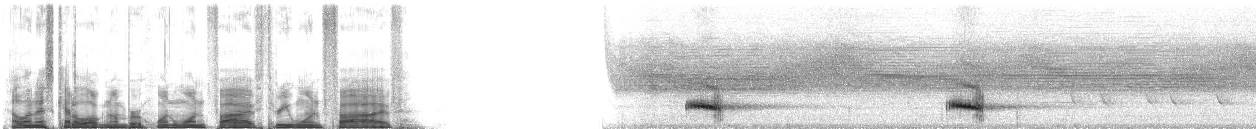 Channel-billed Toucan (Ariel) - ML115315