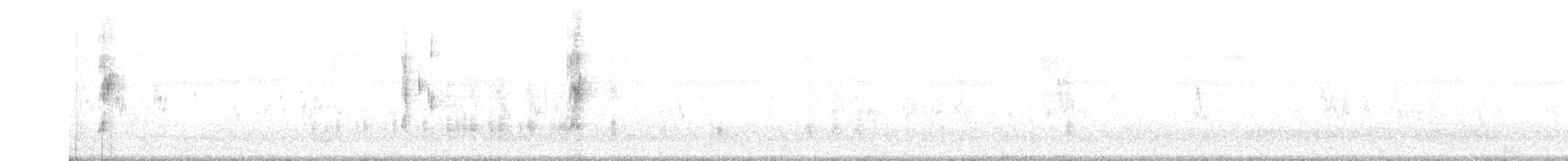 inséparable sp. - ML115333391