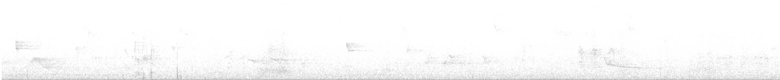 Güneyli Fare Rengi Tiranulet - ML115374221