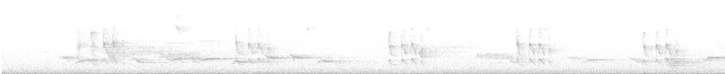 Güneyli Fare Rengi Tiranulet - ML115374561
