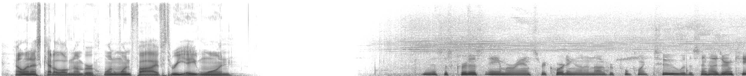 Ятла чорновола (підвид tinnunculus) - ML115381