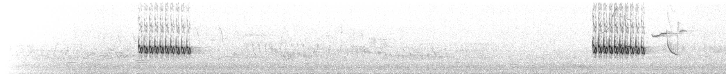 Пятнистый тохи - ML115381631