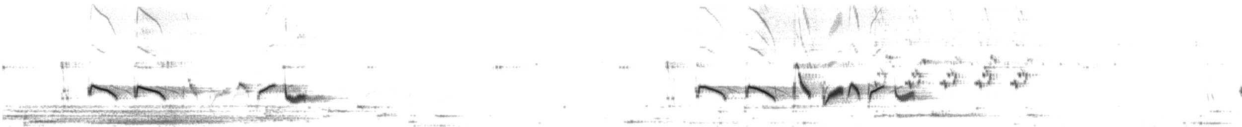 Yellow-eyed Babbler - ML115445261