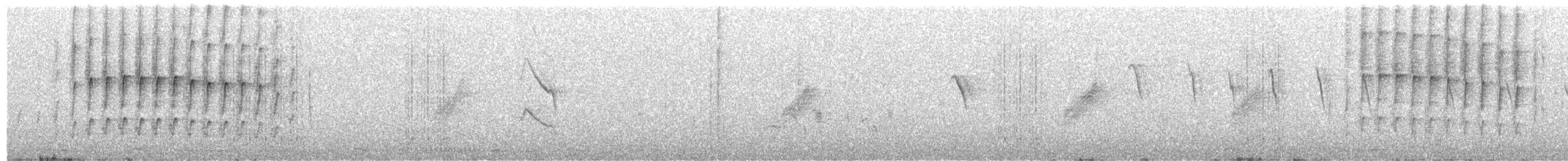 Cardinal Woodpecker - ML115573601