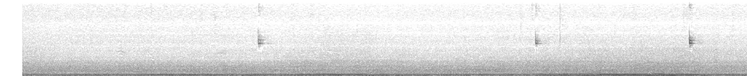 revespurv (megarhyncha gr.) (tykknebbrevespurv) - ML115588641