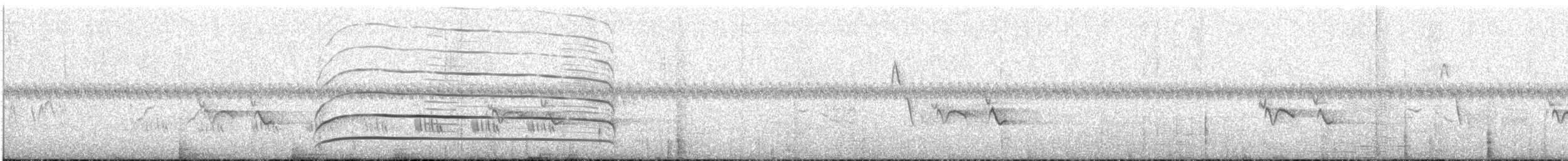 Яструб-крикун сірий - ML115591271