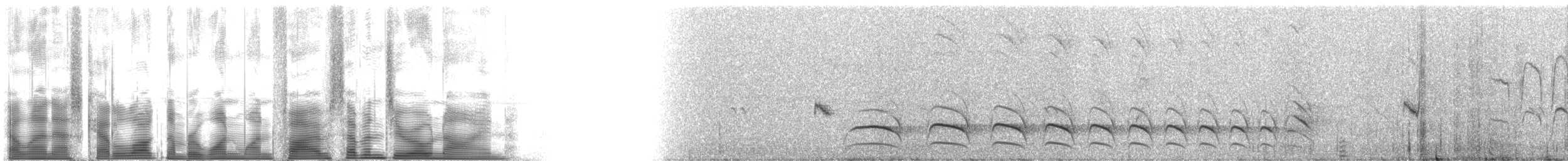 Itatiaia Spinetail - ML115709