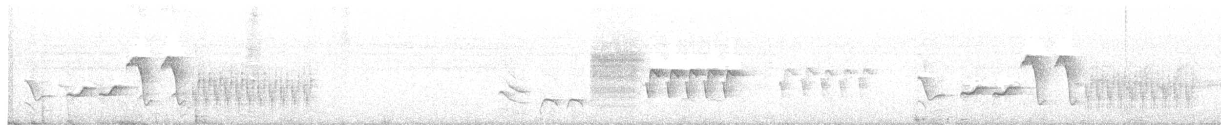 Troglodyte de Zapata - ML115709231